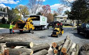 Best Sod Installation  in Schofield, WI